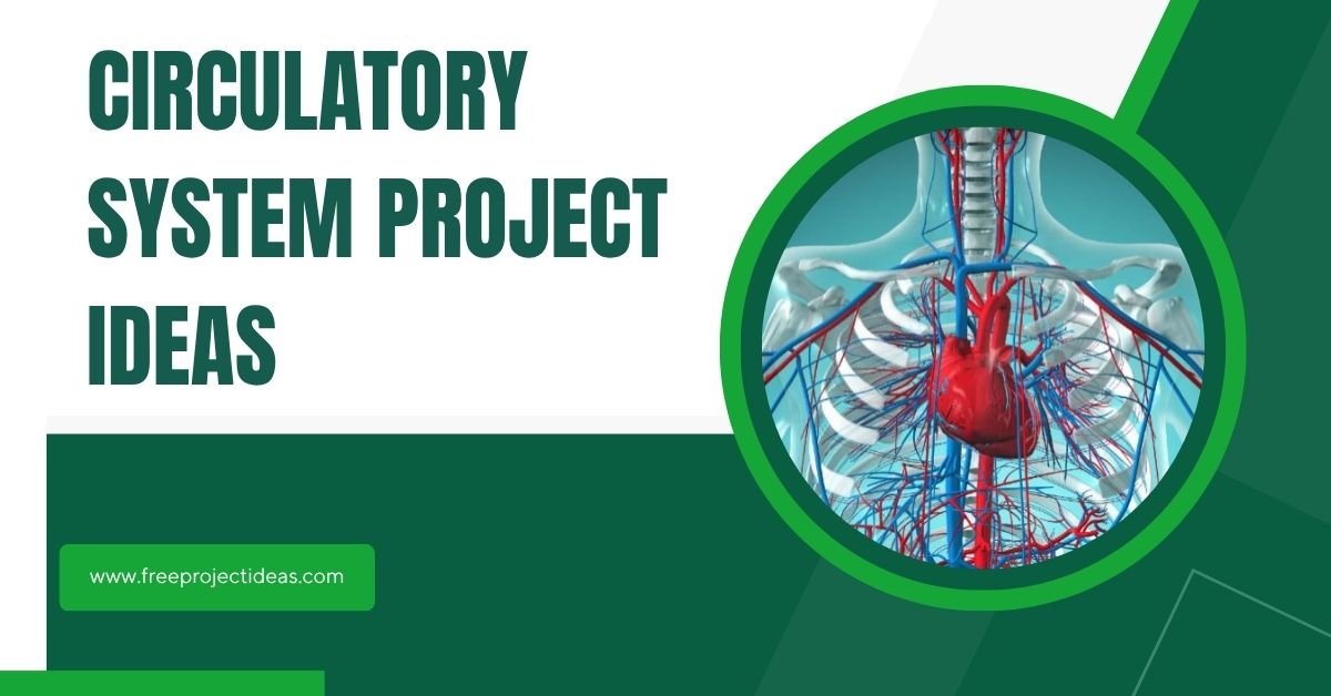 Circulatory System Project Ideas