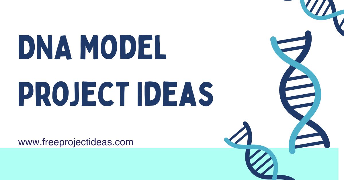 DNA Model Project Ideas
